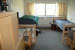 My dorm